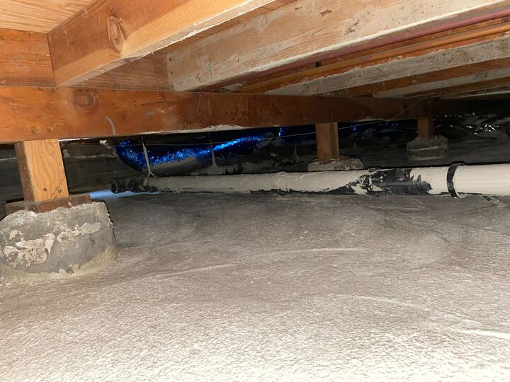 Rodent-Proof Insulation Installation & Removal with Full Decontamination in the Bay Area Rodent-Proof Insulation Installation & Removal with Full Decontamination in the Bay Area