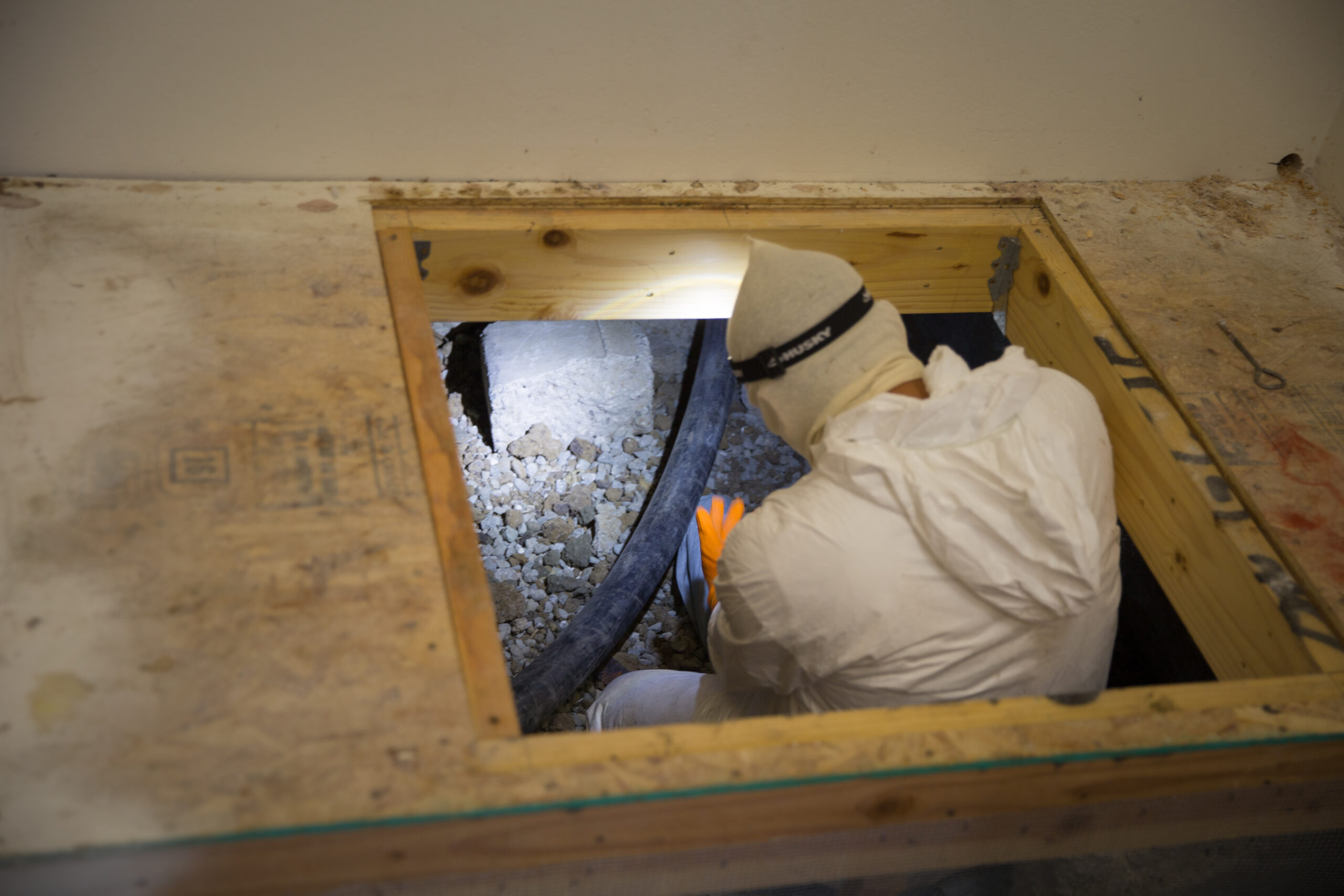 Rodent-Proof Insulation Installation & Removal with Full Decontamination near me Rodent-Proof Insulation Installation & Removal with Full Decontamination near me