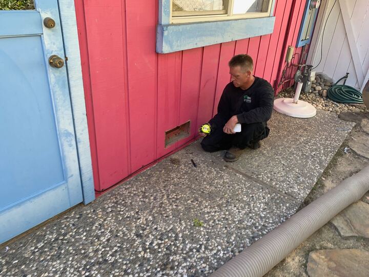 Rodent-proofing inspection in the Bay Area Rodent-proofing inspection in the Bay Area