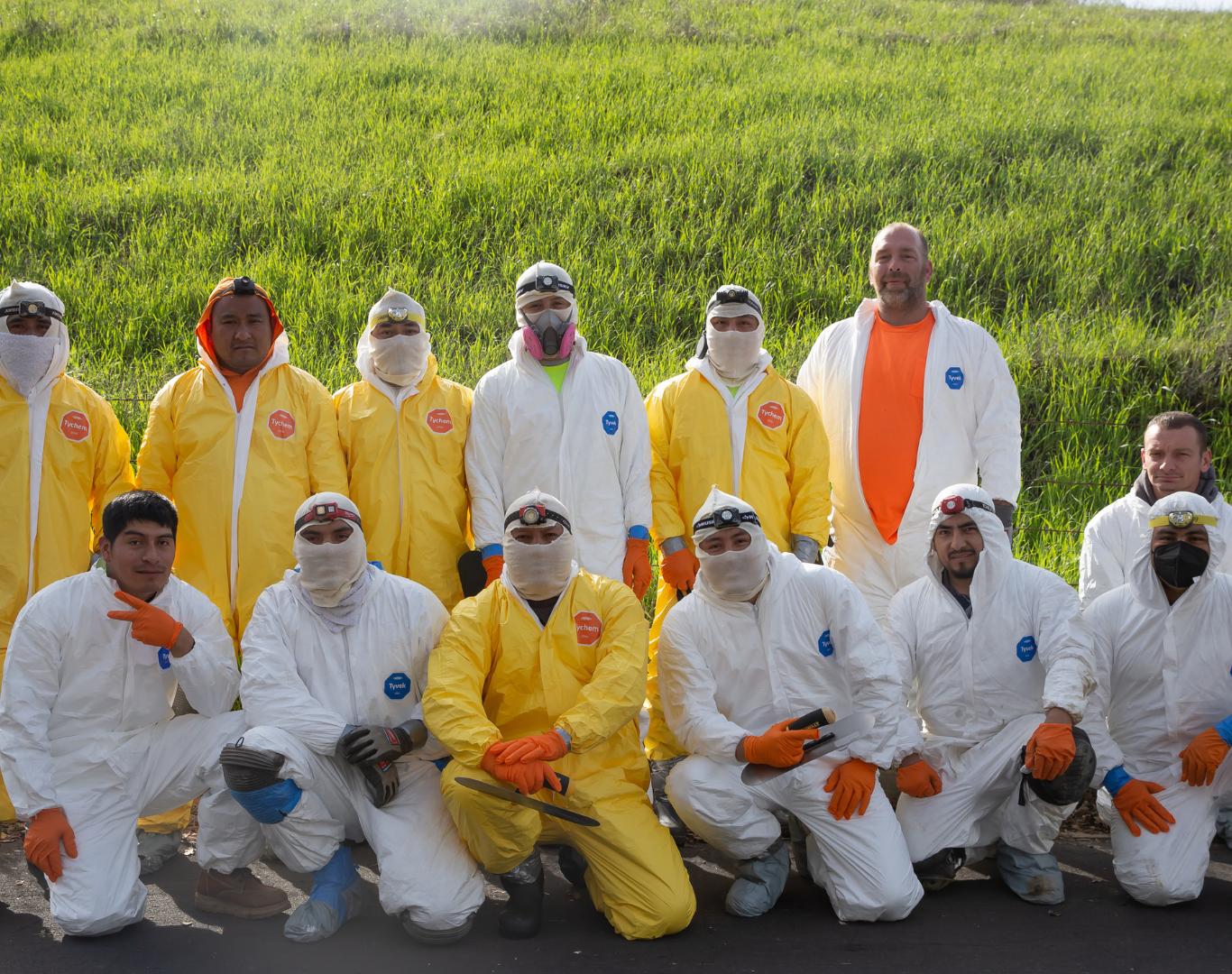 Custom rodent proofing services in Contra Costa, CA for home protection Custom rodent proofing services in Contra Costa, CA for home protection