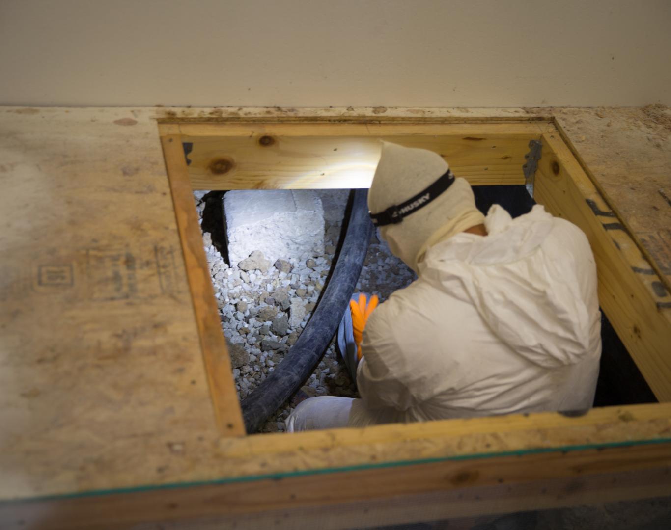 Eco-friendly rodent proofing in Alameda, CA to prevent rats and mice Eco-friendly rodent proofing in Alameda, CA to prevent rats and mice