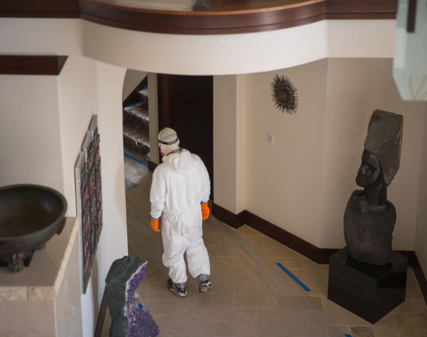 Expert rodent inspection near me in Contra Costa, CA with full property review Expert rodent inspection near me in Contra Costa, CA with full property review