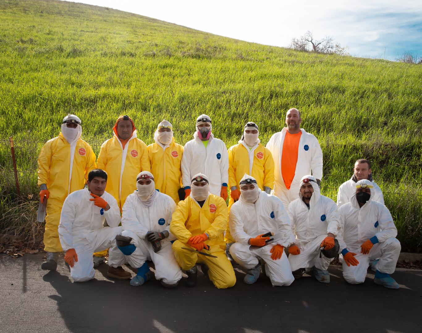 Safe and thorough rodent cleanup near me in Contra Costa, CA for attic sanitation Safe and thorough rodent cleanup near me in Contra Costa, CA for attic sanitation