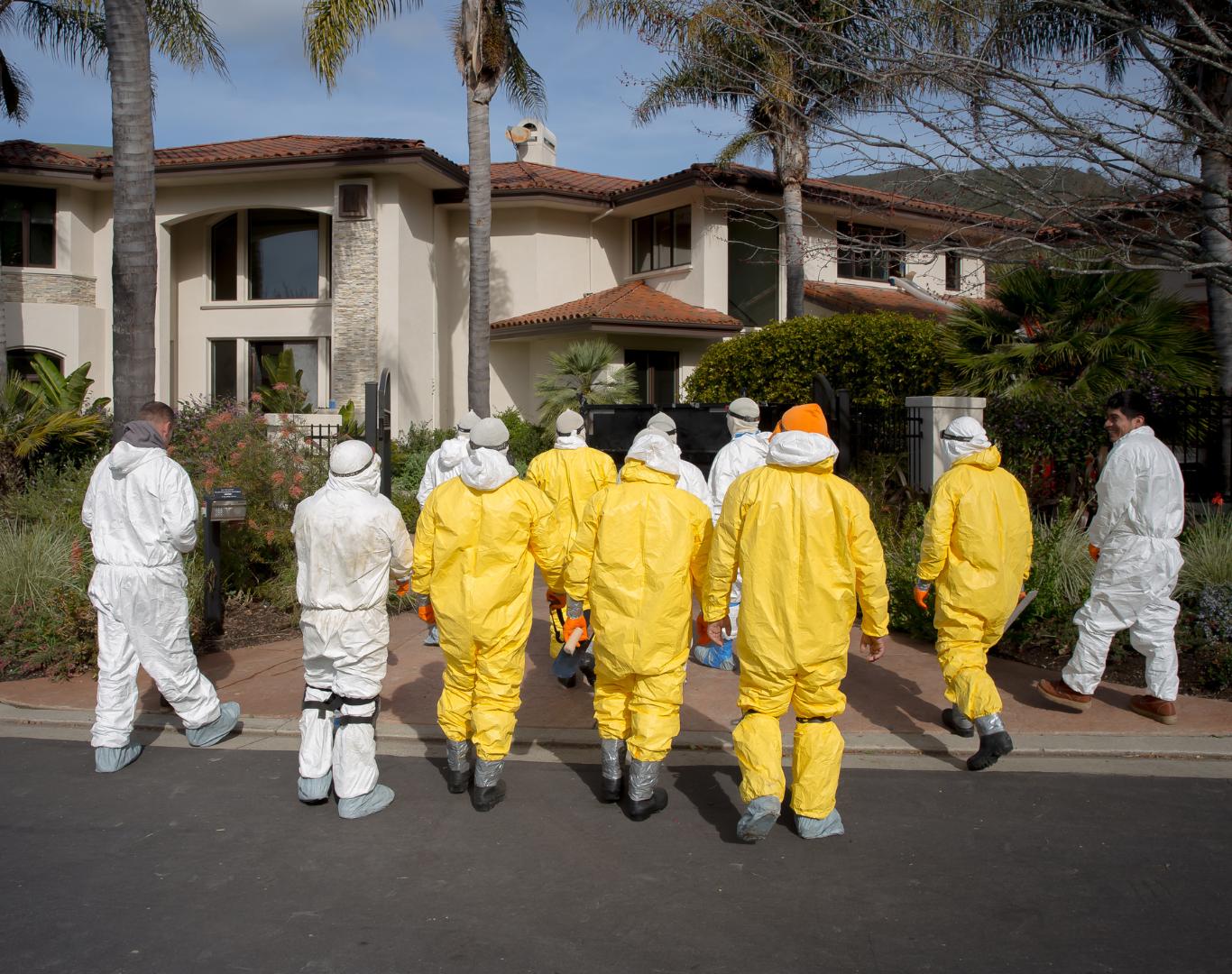 Trusted rodent cleanup near me in Marin, CA removing attic contamination Trusted rodent cleanup near me in Marin, CA removing attic contamination